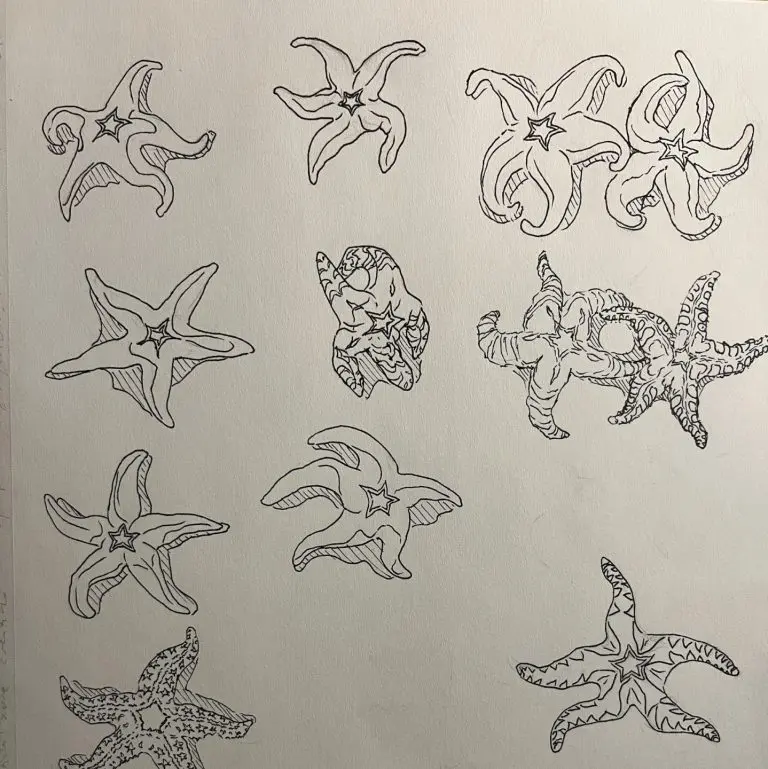 Flash sheet available for walk ins, sheet 13 of 13