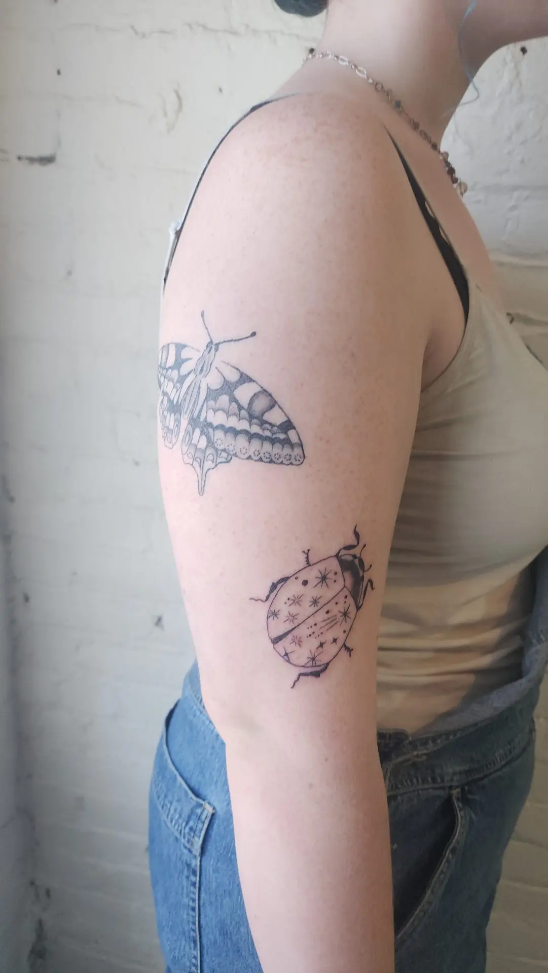 Black and grey swallowtail butterfly above a starry ladybug on an upper arm
